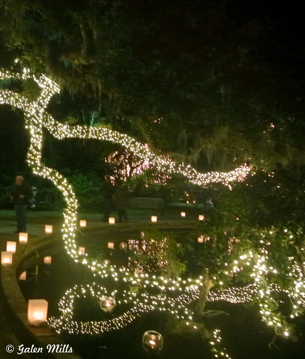 Garden with trees wrapped in string lights at night, lanterns around a pond.