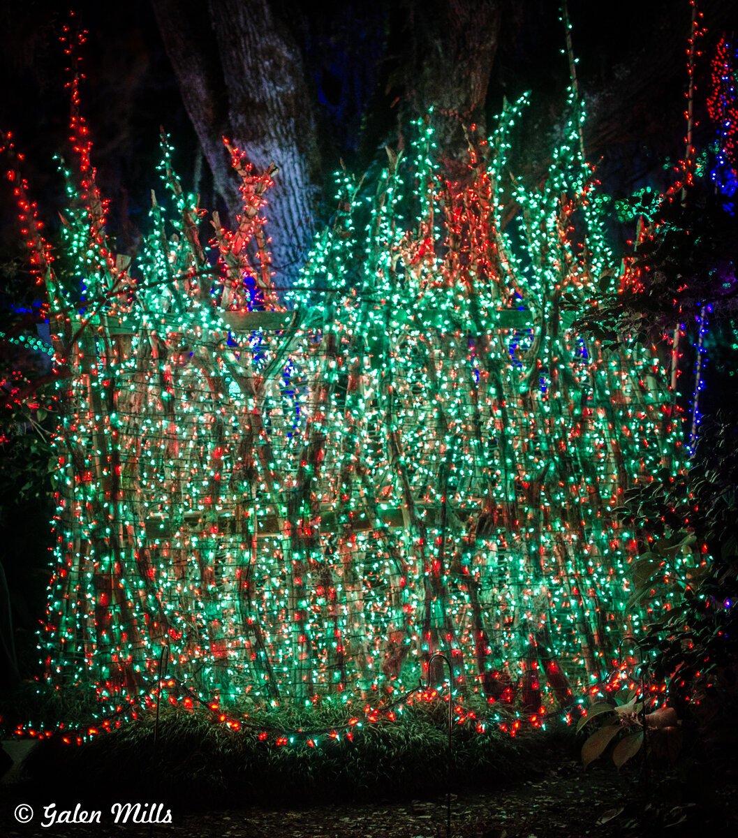 Decorative outdoor display with red and green Christmas lights on a fence in front of trees at night.