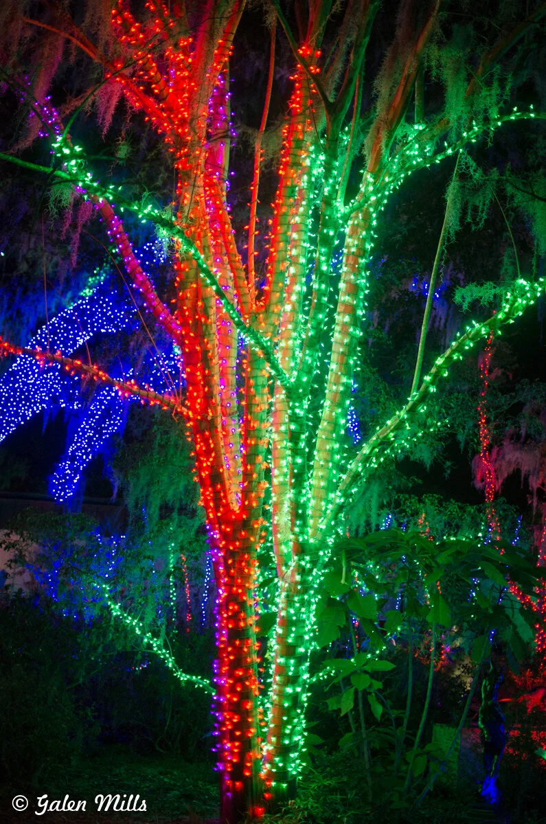 Tree decorated with colorful LED lights, including red, green, and blue, illuminating the night scene.