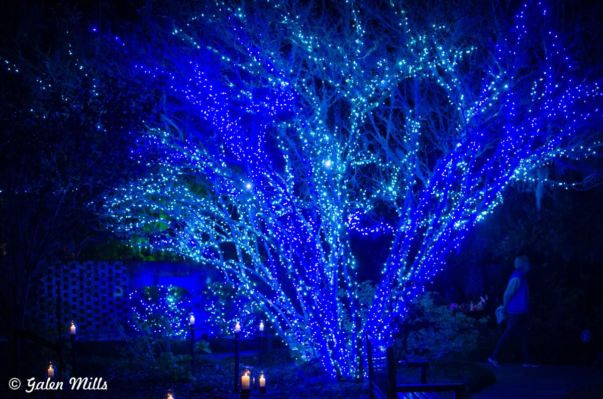 Tree decorated with blue lights at night surrounded by candles and a person walking by.
