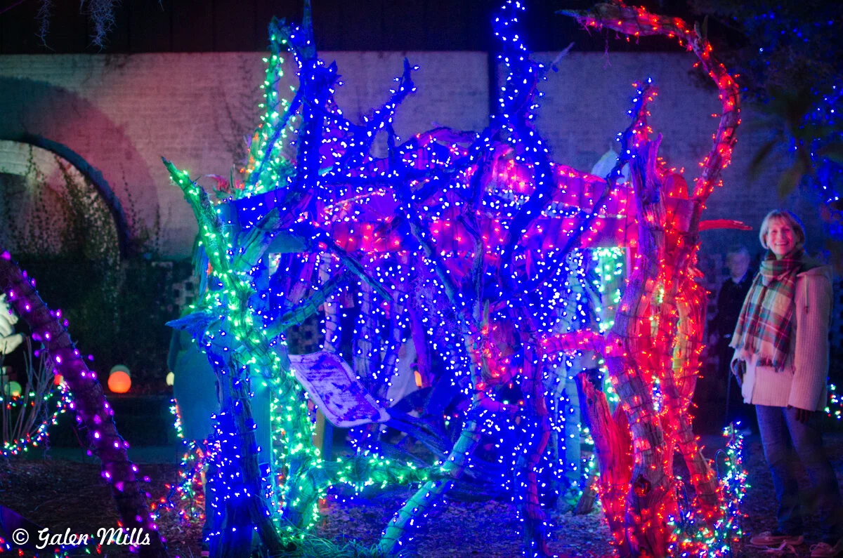 Colorful holiday lights wrapped around tree branches in a dark outdoor setting, with a person standing nearby.