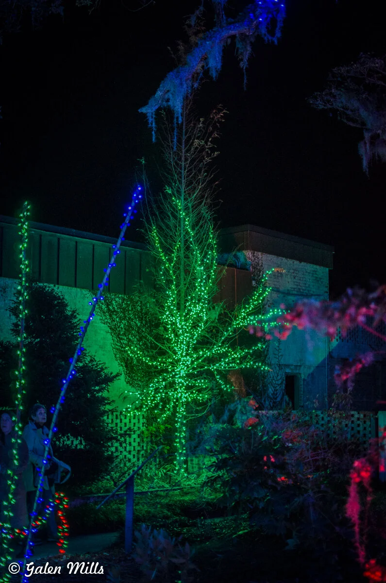 Trees illuminated with colorful LED lights at night, featuring green and blue hues, with people observing the display.