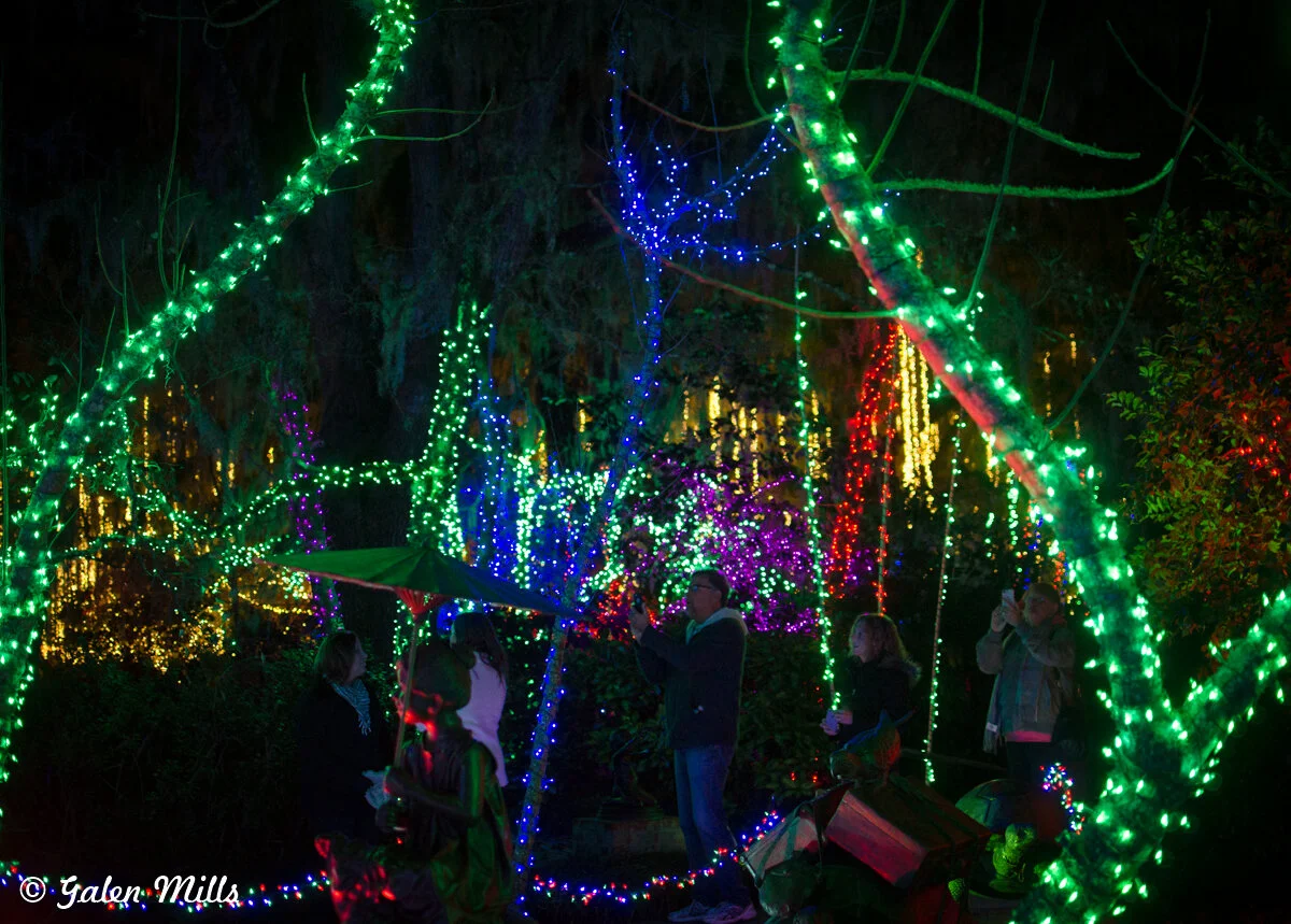 People viewing a garden illuminated with colorful Christmas lights, with trees wrapped in green, blue, purple, and red lights at night.