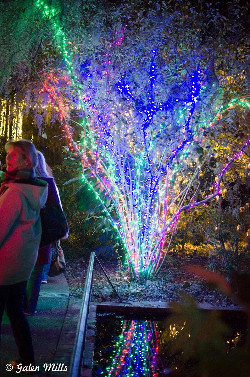 Colorful tree decorated with multicolored lights at night, with reflective water below and people walking nearby.