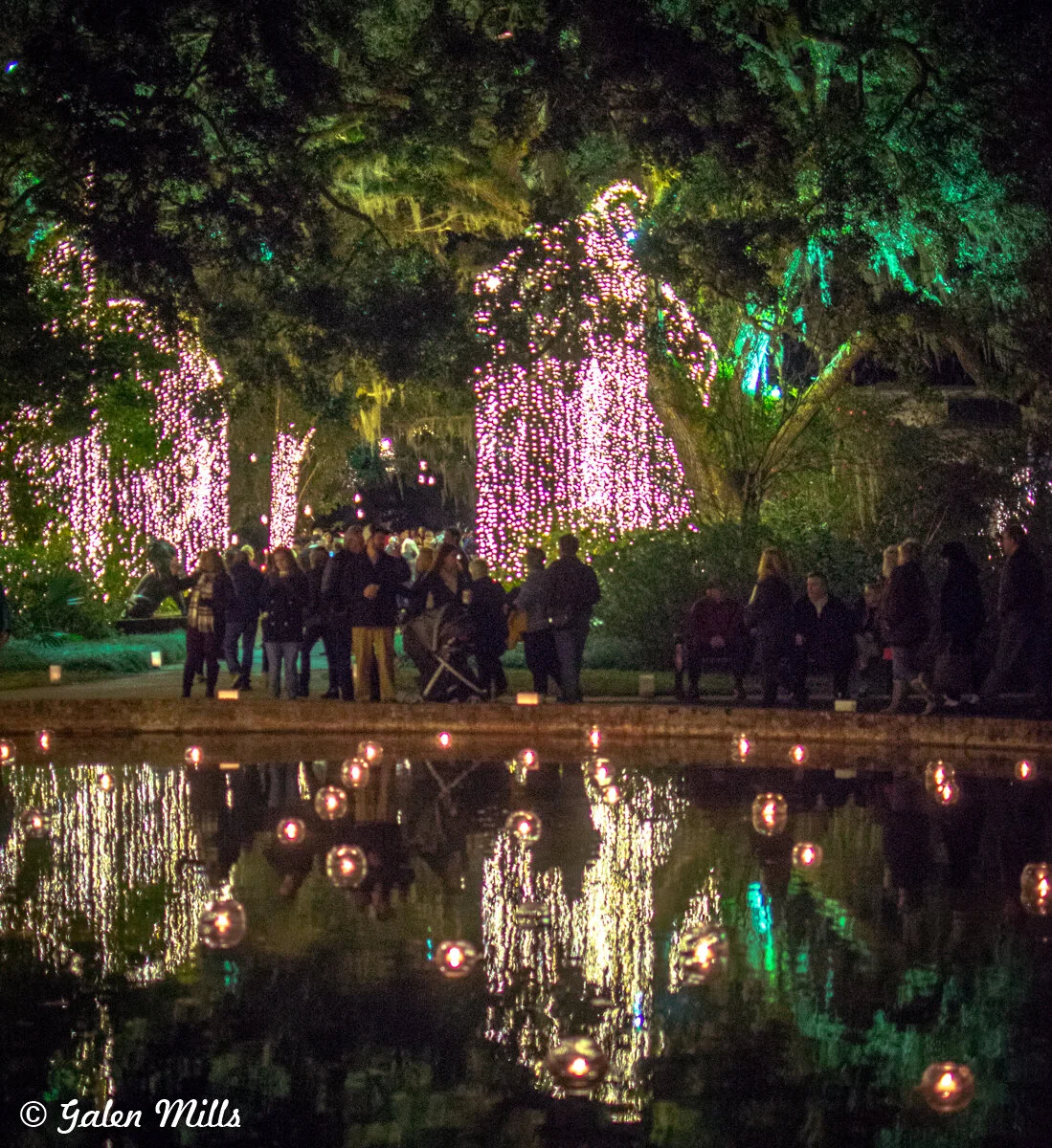 A group of people walking through a garden decorated with colorful string lights draped over trees and reflected in a pond at night.
