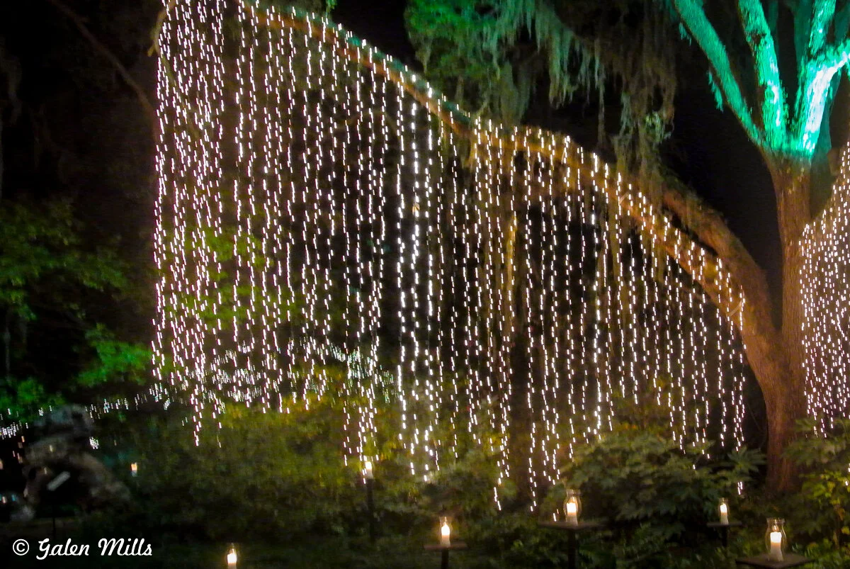 Tree decorated with hanging string lights at night surrounded by greenery and small lanterns.