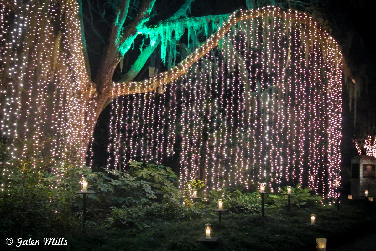 Tree covered with cascading string lights and illuminated paper lanterns at night in a garden setting.