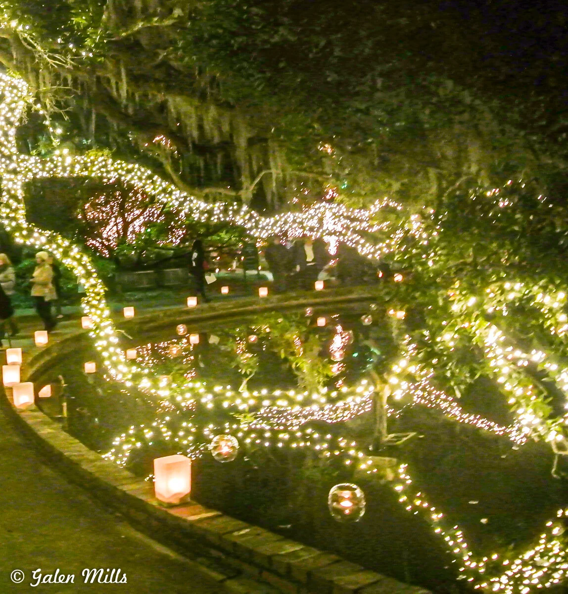 A garden pathway illuminated with holiday lights wrapping around trees and lining the edges. People stroll along the path, and the lights are reflected in a nearby pond, creating a festive and enchanting atmosphere.