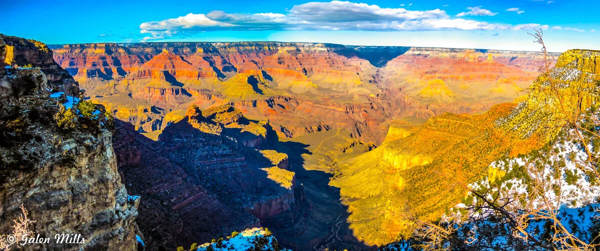 Panoramic view of the Grand Canyon with colorful rock formations and deep valleys under a partly cloudy sky, with some foreground vegetation.