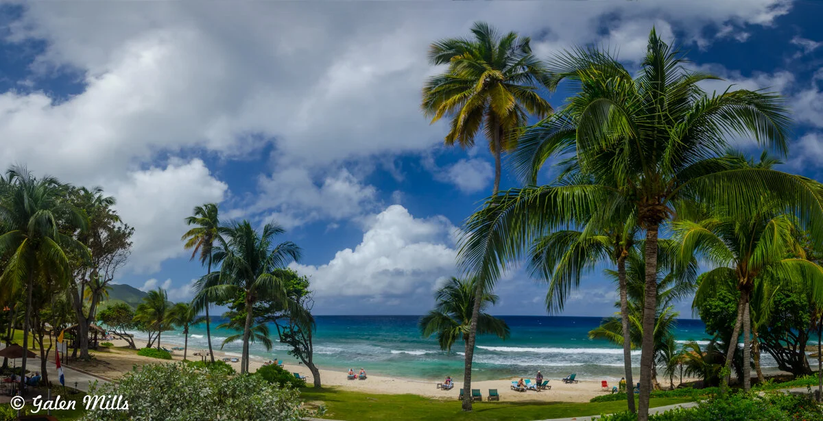 Tropical beach scene with palm trees, blue sky, and ocean waves. People relax on the sandy shore under umbrellas and chairs.