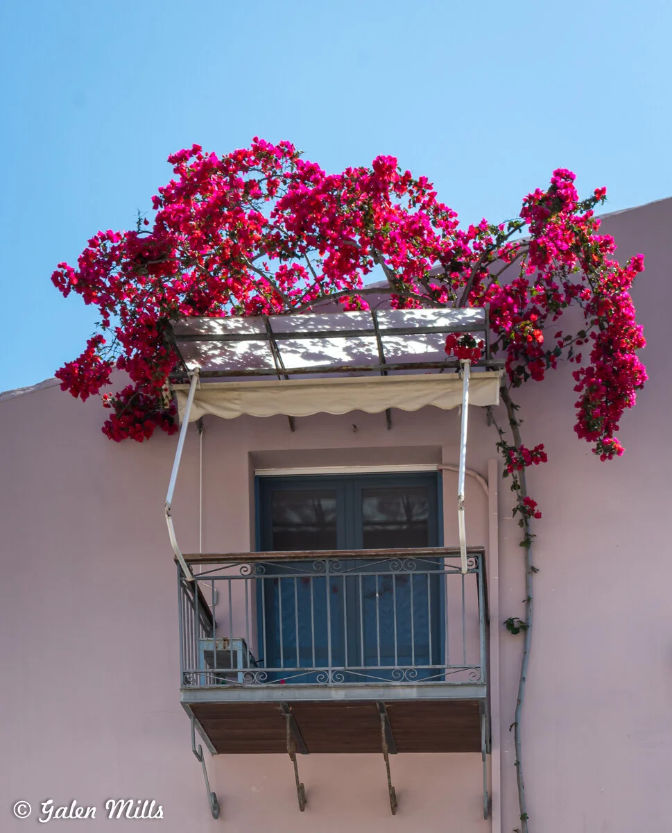 Pink bougainvillea flowers cascading over a small balcony with blue doors, a white awning, and a simple metal railing against a pastel pink wall.