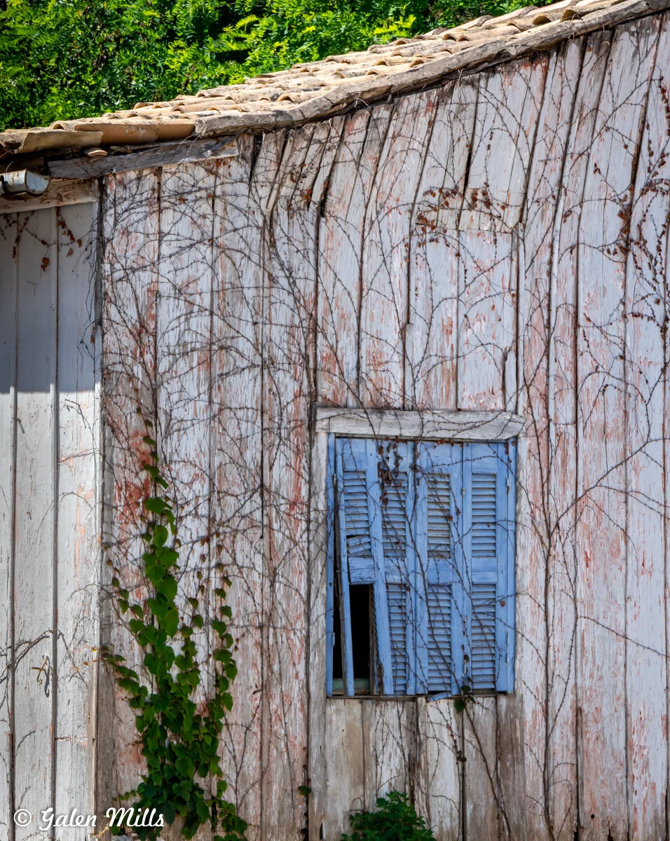 Old white wooden building with peeling paint, blue shuttered window, and vines climbing the exterior.