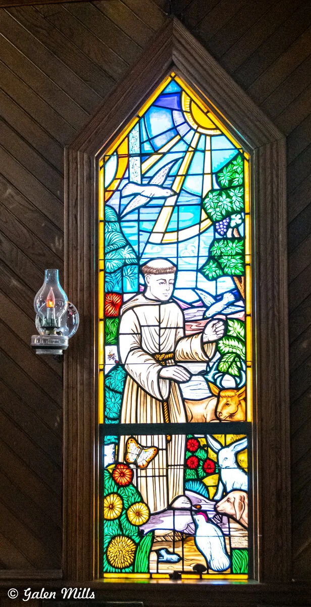 Stained glass window depicting a religious figure in robes surrounded by animals and nature, including birds, flowers, and sun rays.