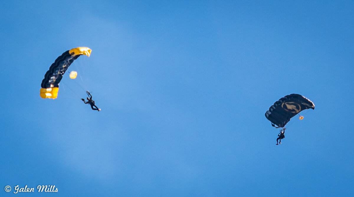 Two skydivers with black and yellow parachutes descending against a blue sky.