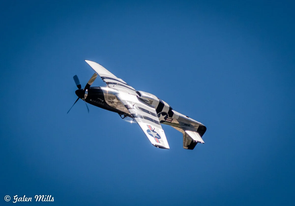 A black and white World War II-era fighter plane performing an aerobatic maneuver against a clear blue sky.