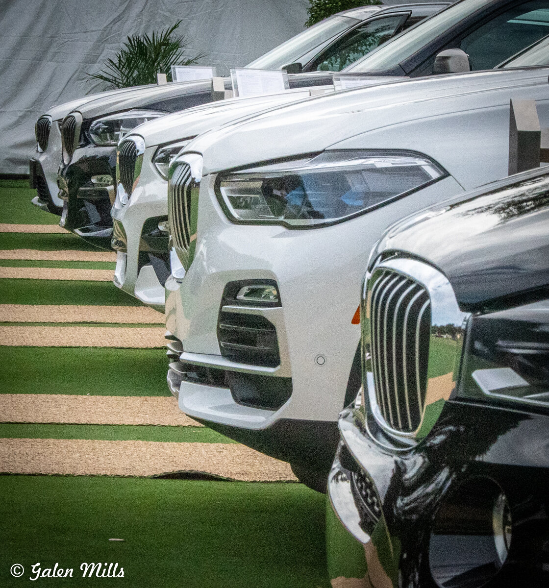 Row of luxury cars with front grill view on display outdoors