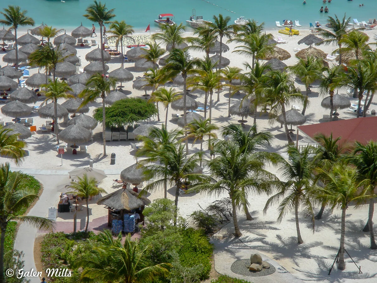 Tropical beach scene with palm trees and straw umbrellas, white sand, people lounging, and turquoise water.