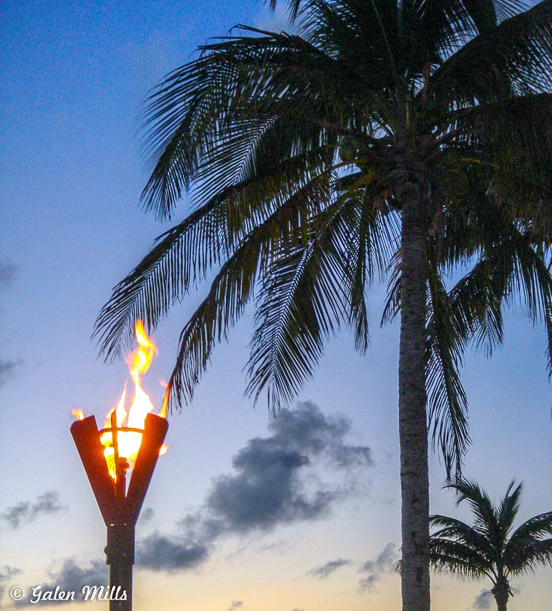 Palm trees silhouetted against a dusky sky with a lit tiki torch in the foreground.