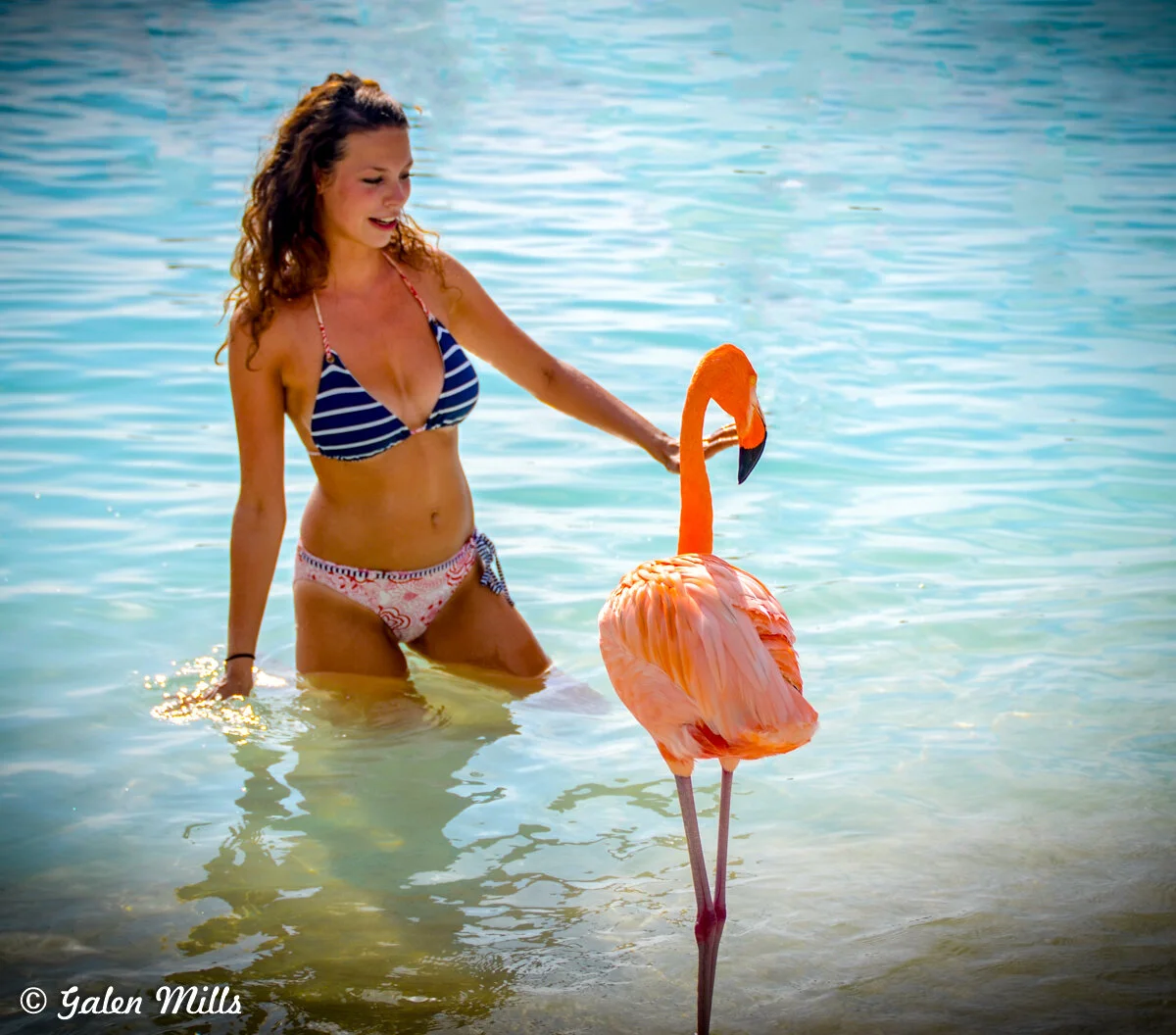 Woman in a bikini standing in shallow water next to a flamingo on a beach.
