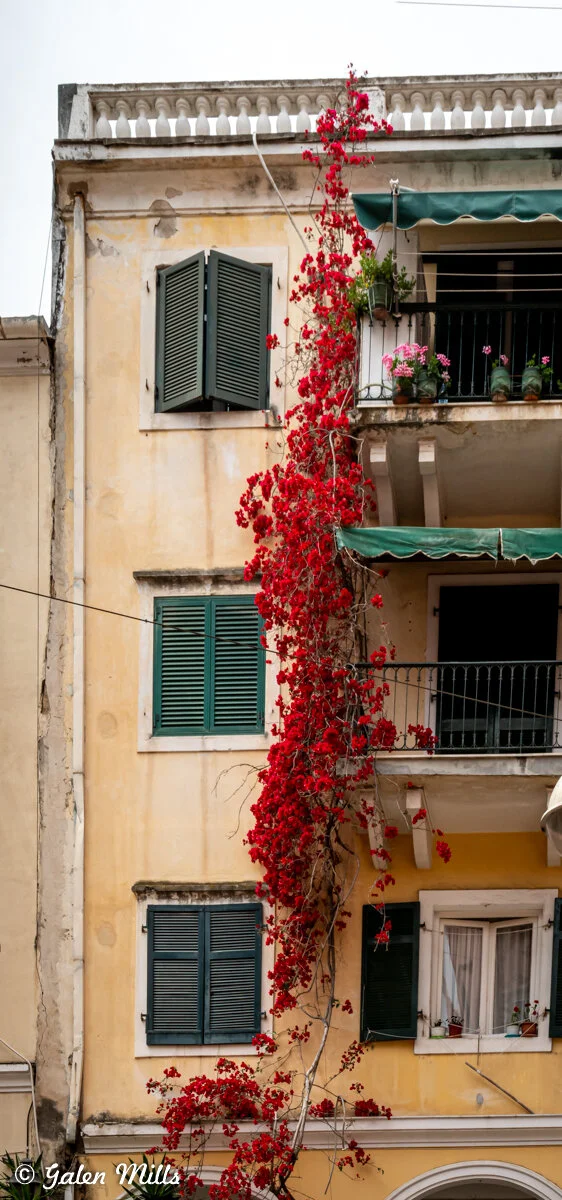 Yellow building facade with green shutters and a balcony, featuring vibrant red bougainvillea climbing the wall and potted plants on the balcony.