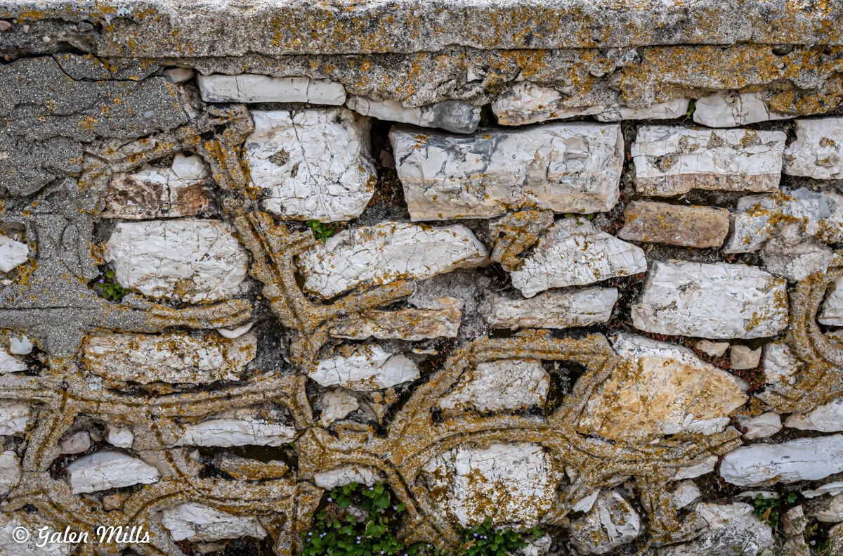 Close-up of an old stone wall with irregular white stones and yellowish lichen growth. The wall appears weathered, with cracks and small green plants growing in crevices.
