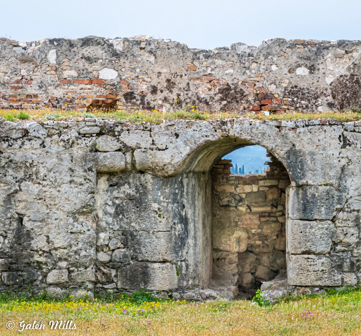 Ancient stone wall with archway, partially overgrown with grass and yellow flowers at the base.