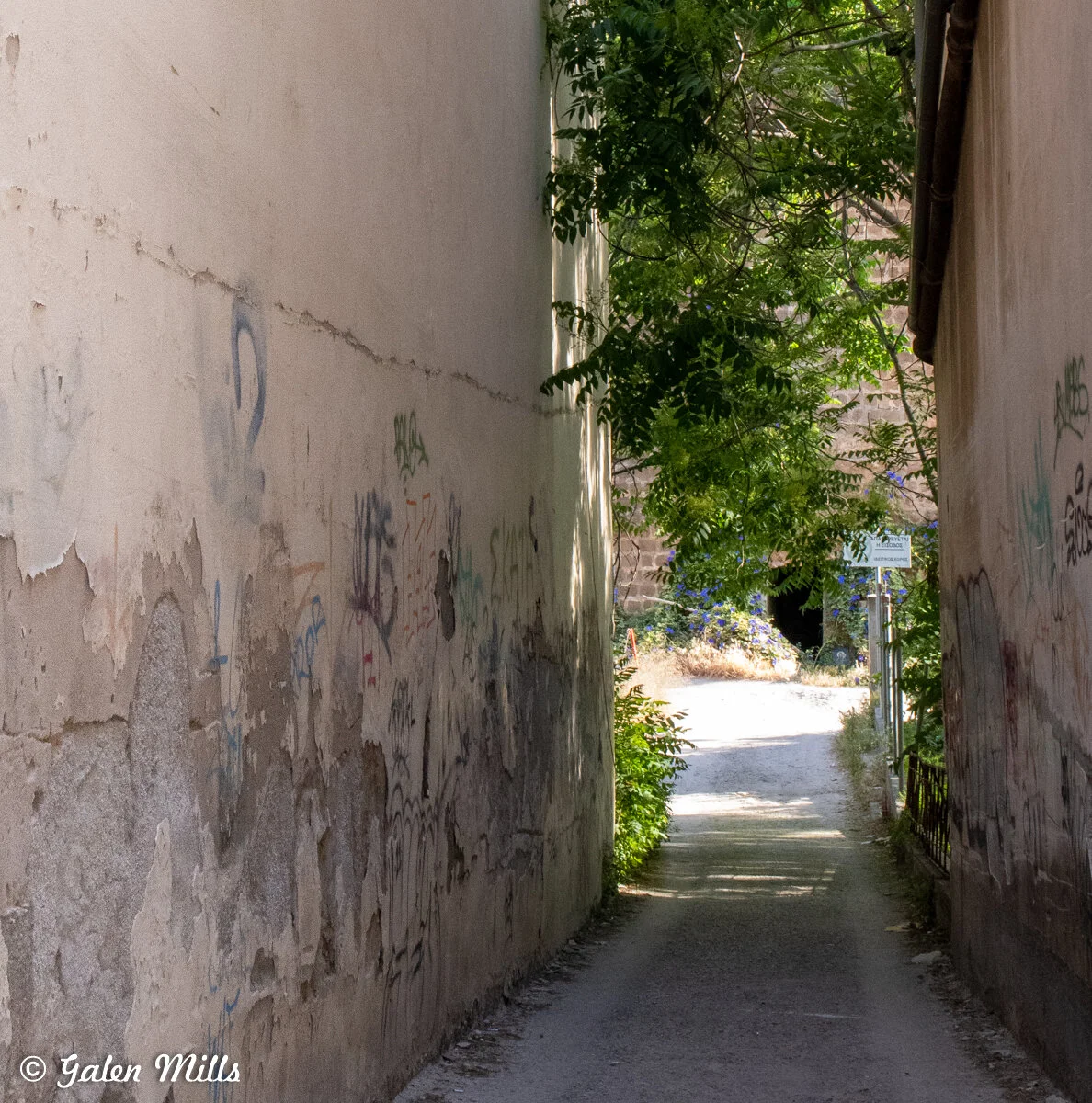 Narrow alleyway with graffiti on walls, overhanging greenery, and light at the end leading to an open area.