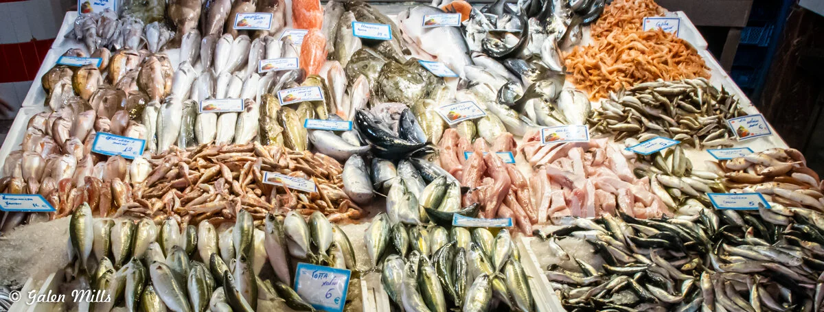 Variety of fresh seafood displayed on a market stall, including fish, shrimps, and shellfish with price tags.