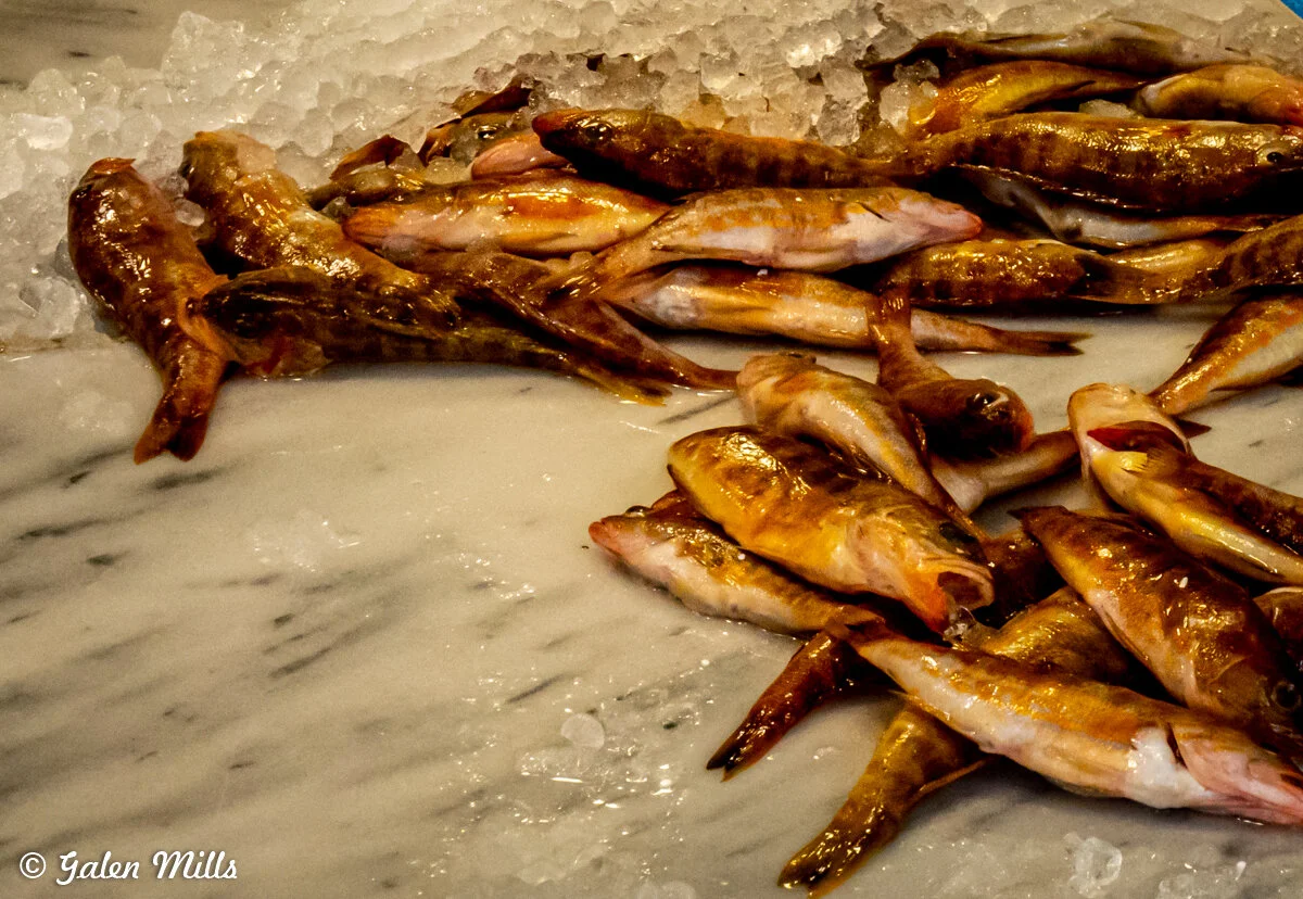 Fresh fish on ice at a market