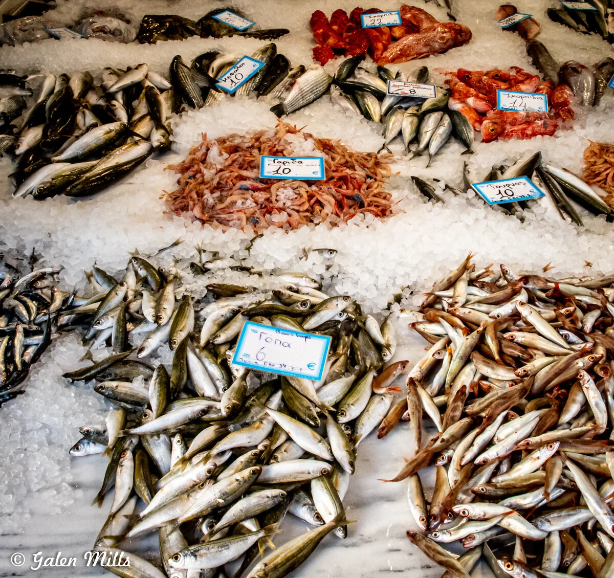 Various types of fresh fish and seafood displayed on ice at a market, with handwritten price tags in Greek and Euros.