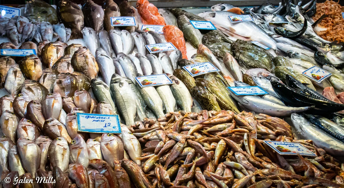Variety of fish displayed at a market, labeled with price tags in Greek.