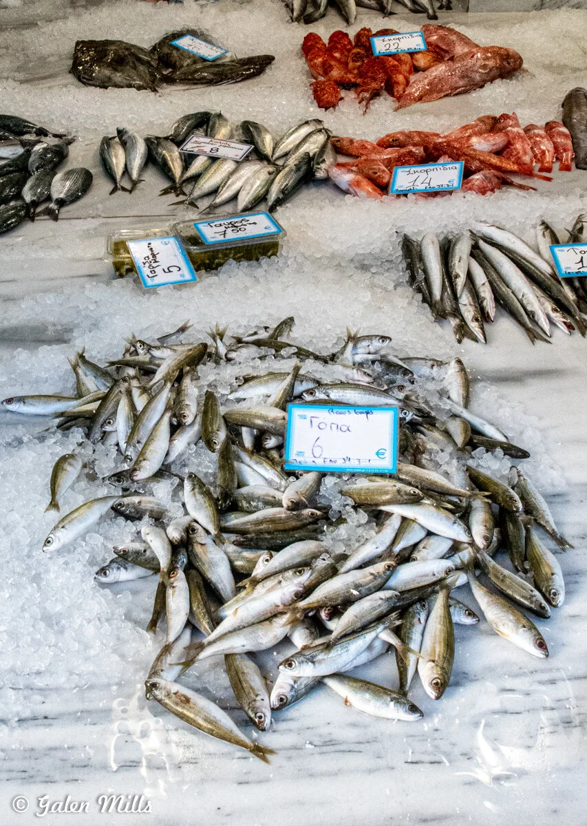 Fresh fish on ice at a market with price tags.