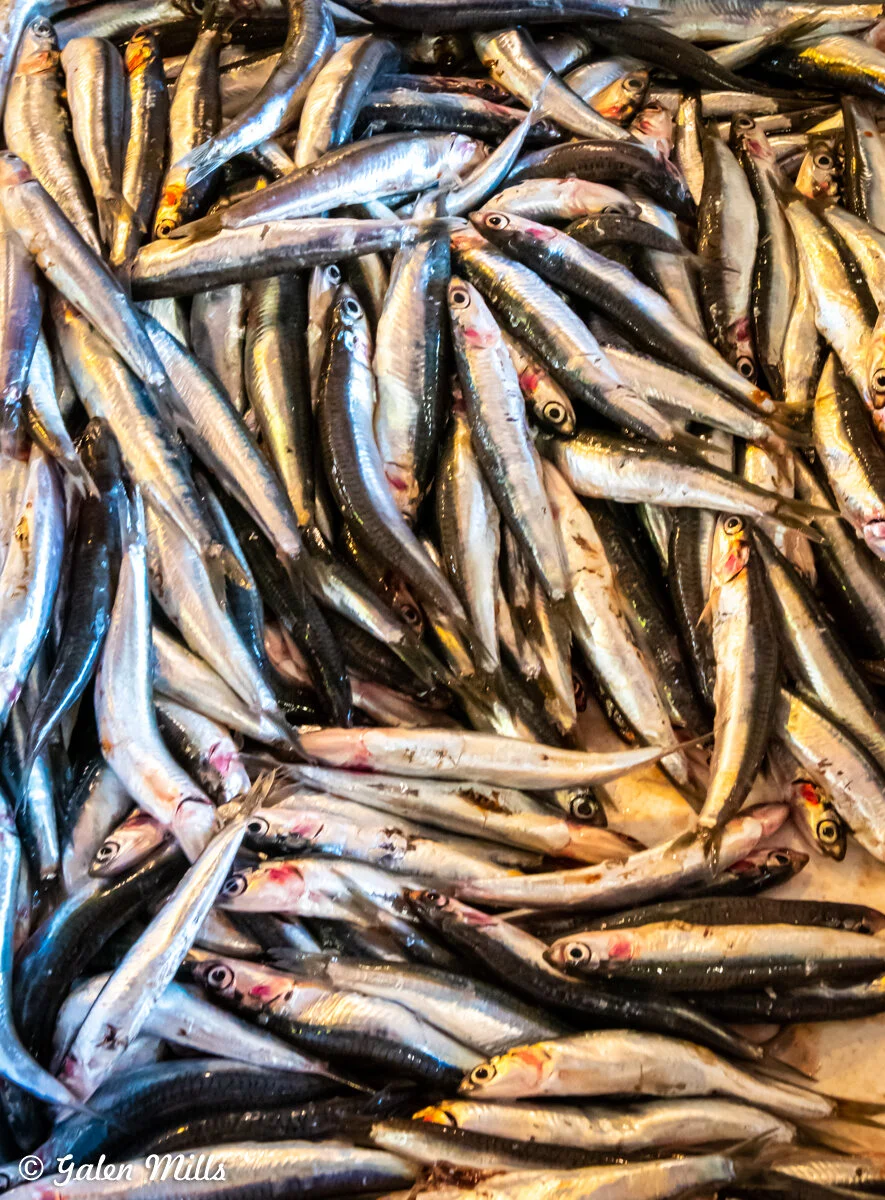 Pile of small fish, possibly anchovies, with shiny silver scales.