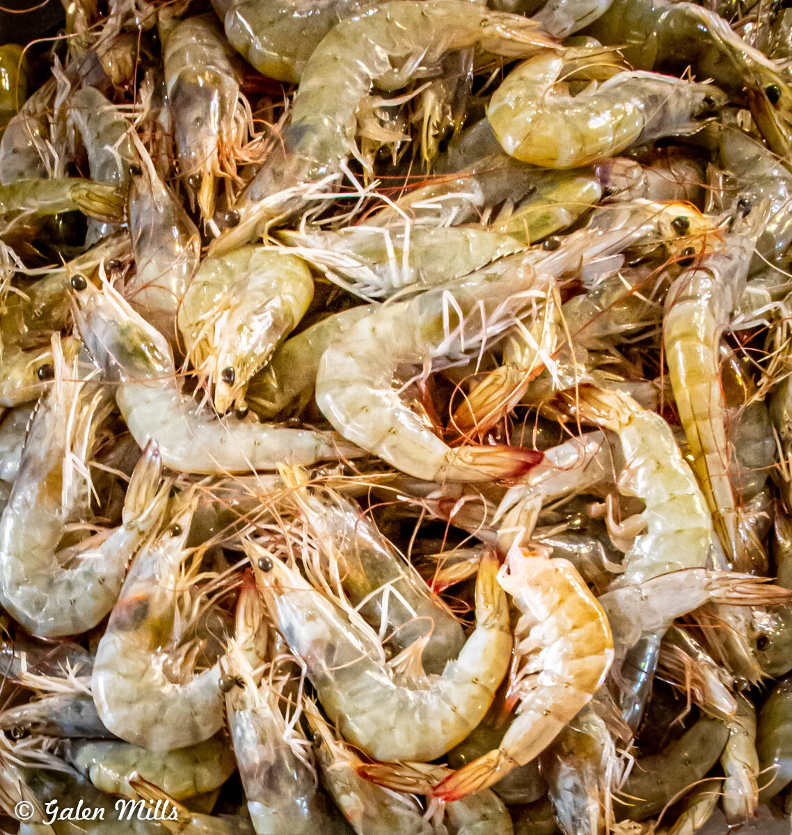 A pile of raw shrimp with shells and tails visible, showcasing a fresh texture and natural pinkish hue.