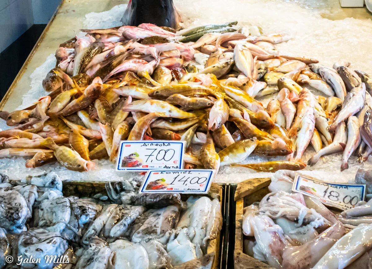 Assorted fresh fish and seafood on ice at a market display, including fish with price tags in euros.