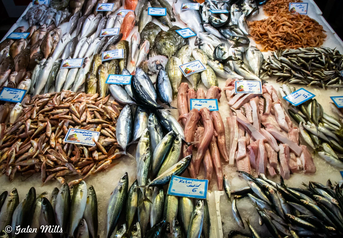 Various types of fresh fish and seafood displayed on ice at a market stall, with prices labeled on signs.