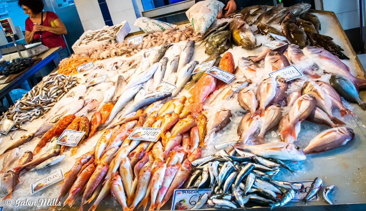 Various types of fresh fish displayed on ice at a seafood market table with price tags, under a blue tiled stall area.