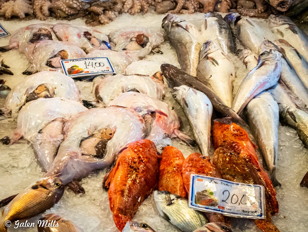 Market display of fresh seafood including various fish and octopus on ice, with price tags.