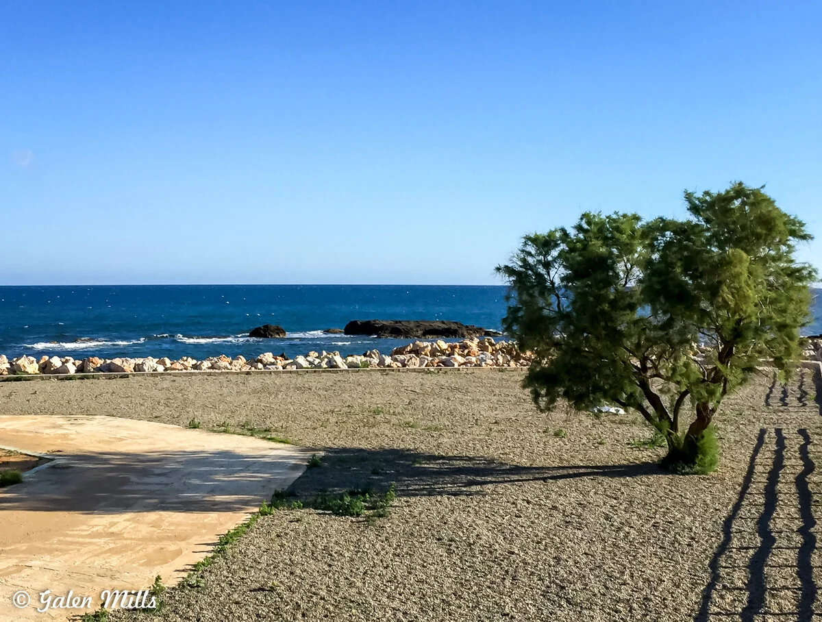 Beachfront with a tree and rocky shore on a sunny day with blue sky and sea.