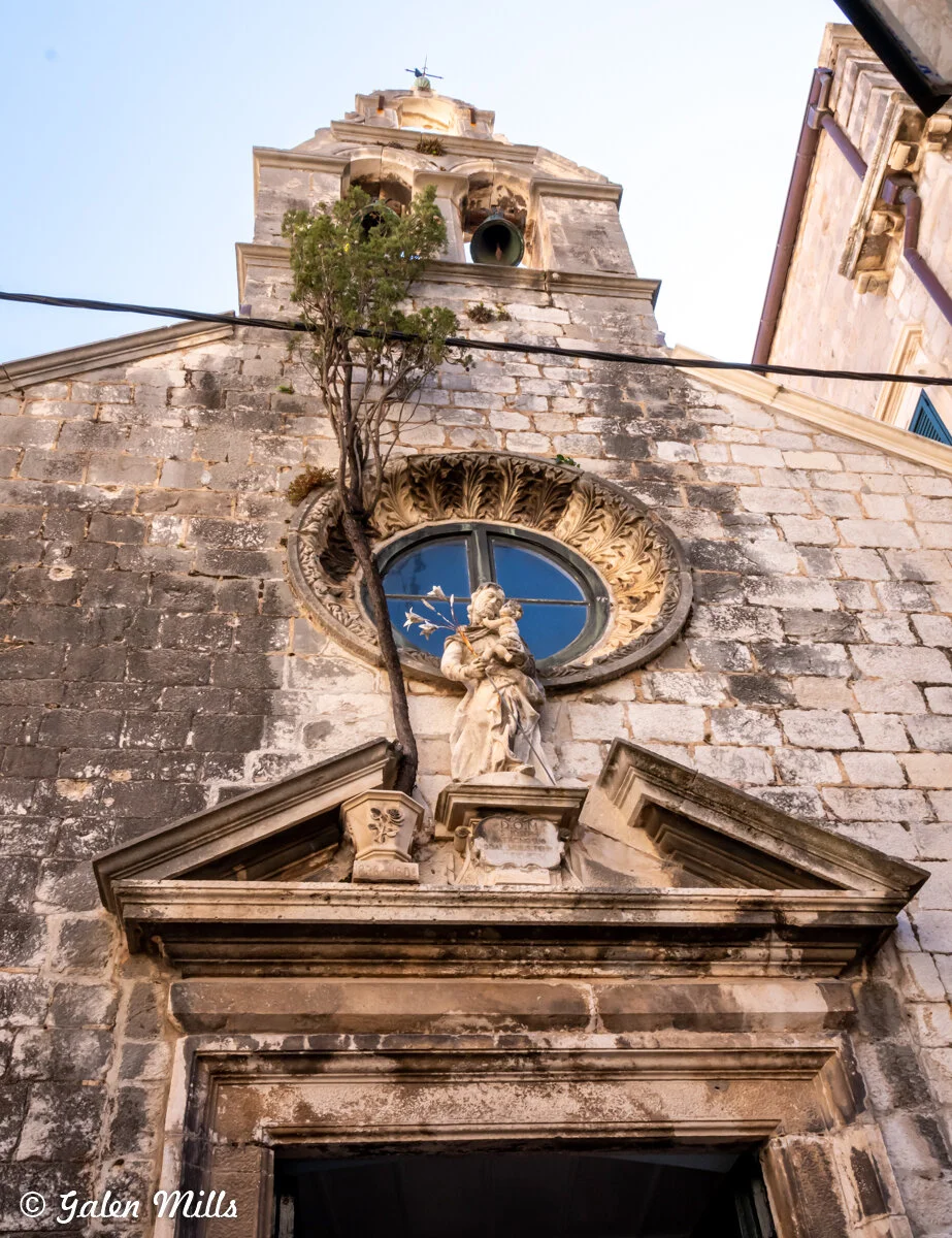 Facade of historic stone church with sculpture and round window, tree growing from wall, bell tower above, clear sky background.