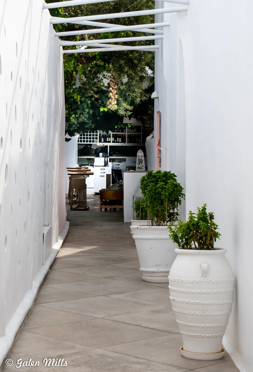 Narrow alley with white walls, large potted plants, and tile flooring, leading to an outdoor seating area under greenery.