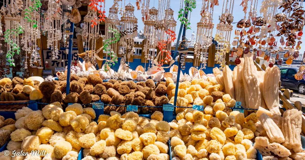Display of natural sea sponges and hanging seashell decorations at an outdoor market.