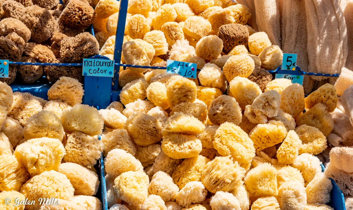 Natural sea sponges for sale at a market. Brown and yellow sponges are displayed with price tags.