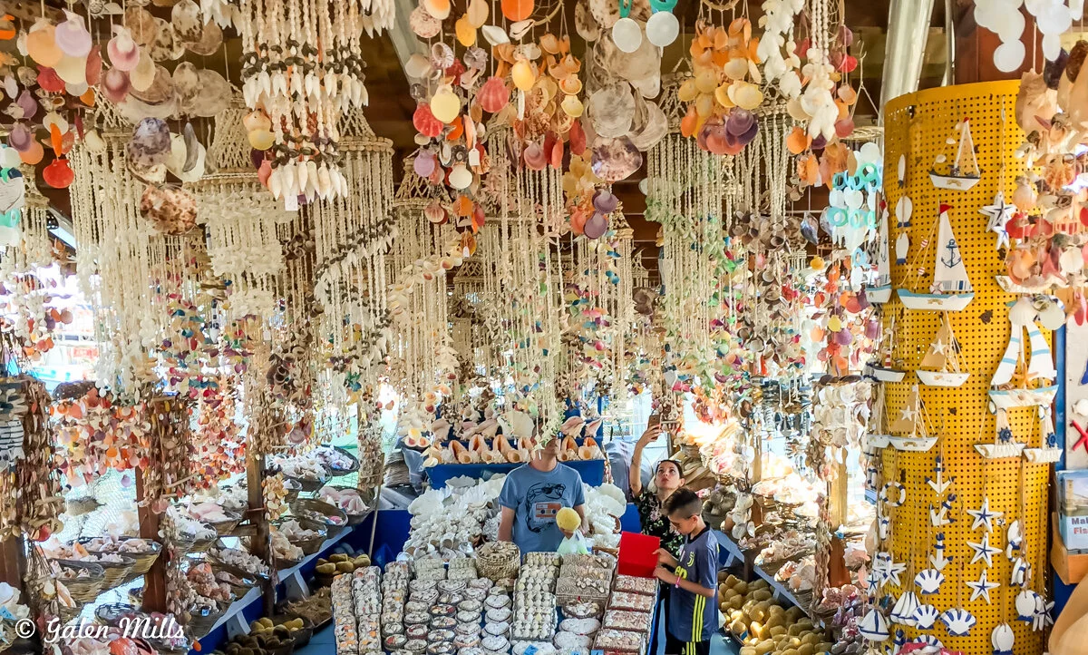 Colorful seashell shop with hanging shell decorations, various shell products, and customers browsing.