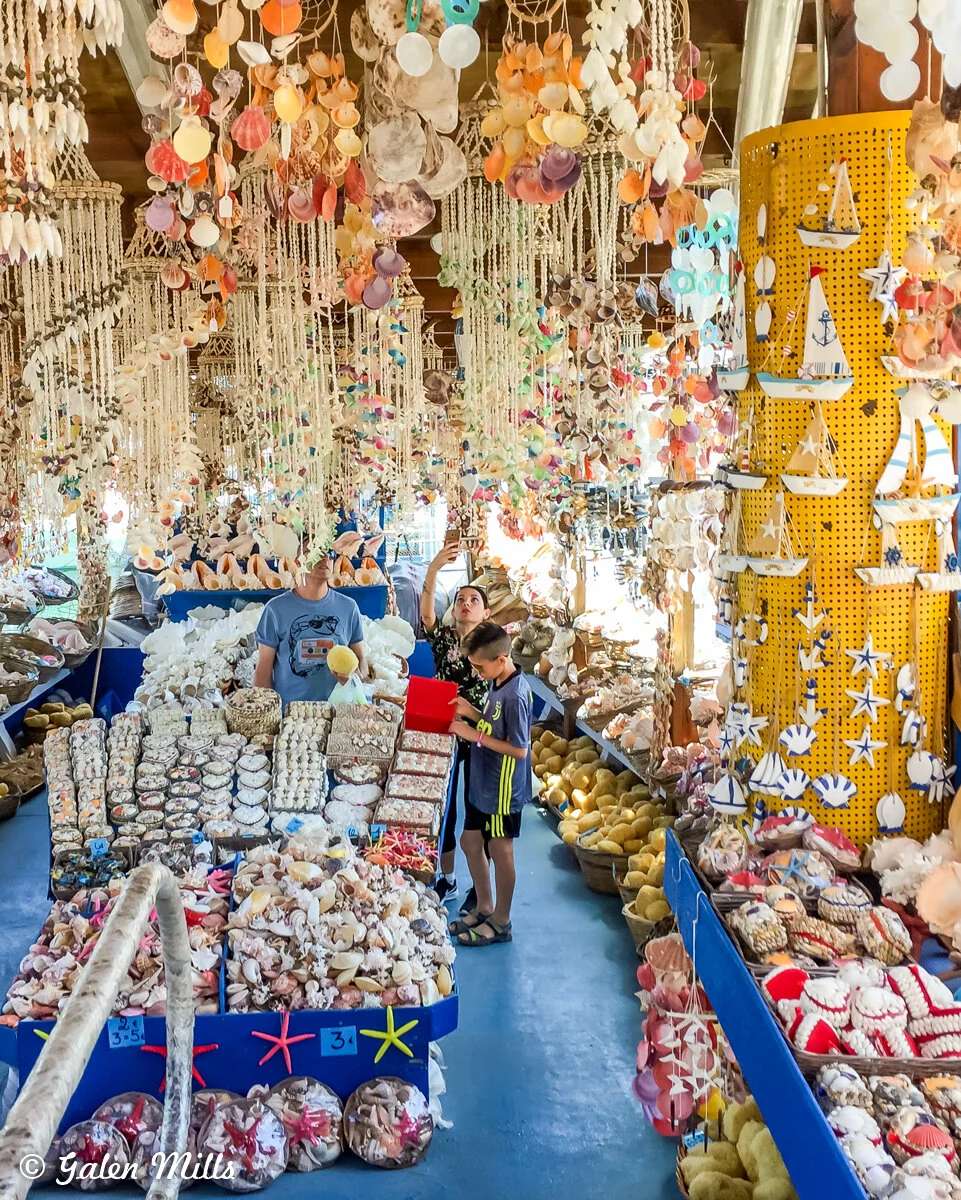 People shopping in a colorful seashell and souvenir store, with hanging shell decorations and various shells displayed on tables.