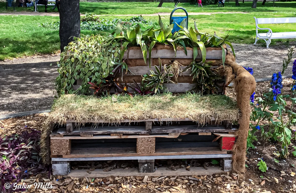 Eco-friendly garden bench made from wooden pallets covered with grass and plants, located in a park setting.