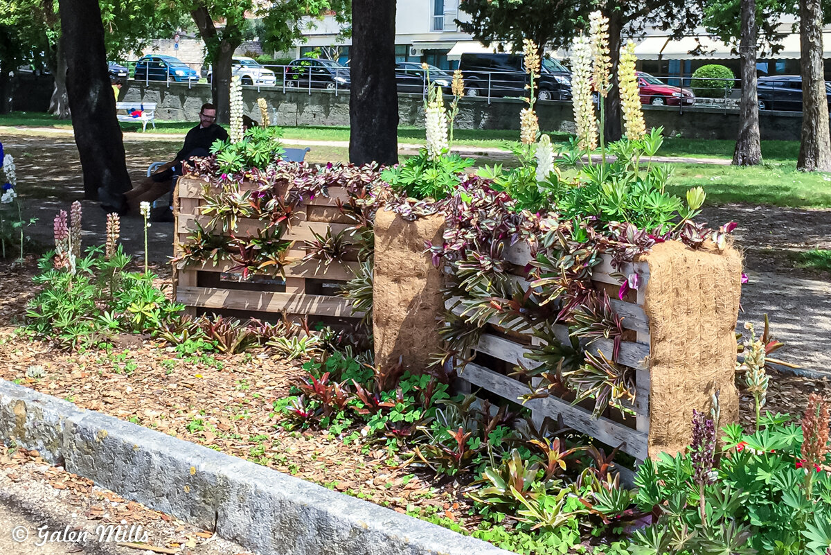 Vertical garden in park made from wooden pallets with various plants, trees, and a person sitting on a bench in the background.