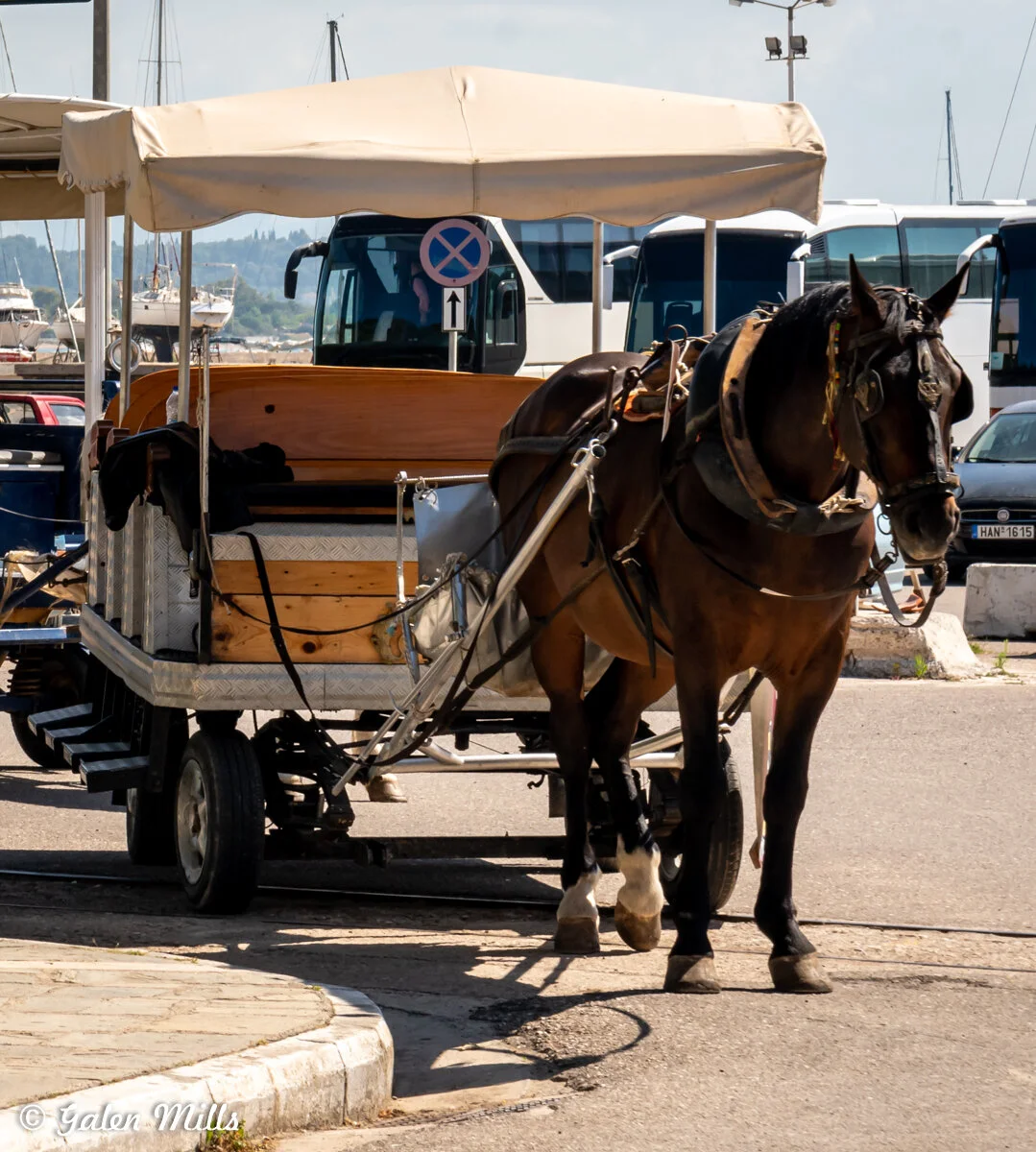 A horse-drawn cart with a covered top parked on a street, with buses and boats in the background.