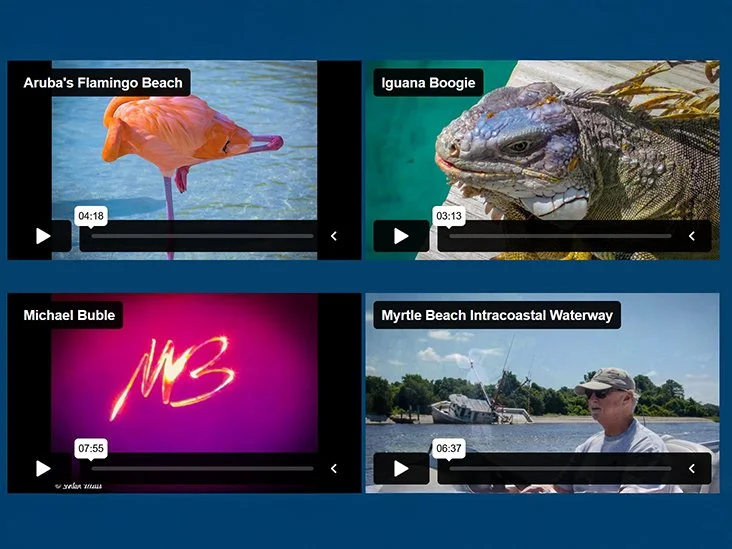 Four video thumbnails features: a flamingo at Aruba's Flamingo Beach, a close-up of an iguana with the label 'Iguana Boogie,' a neon sign with 'MB' in pink for Michael Buble, and a man fishing on a boat at Myrtle Beach Intracoastal Waterway.