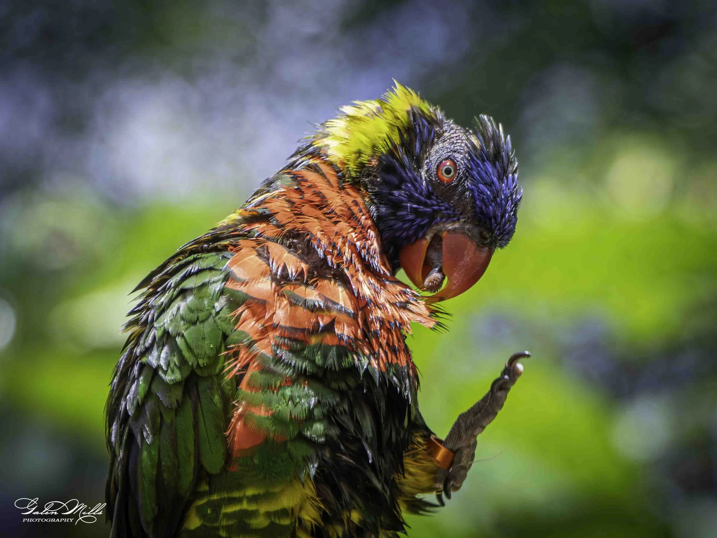 grm SS 6-5-2025 -5.jpg